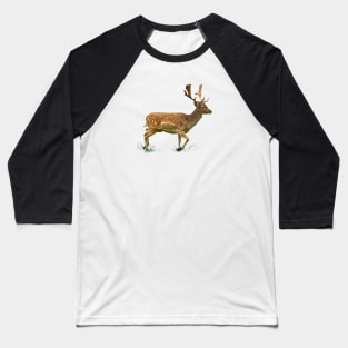 Rehe Baseball T-Shirt